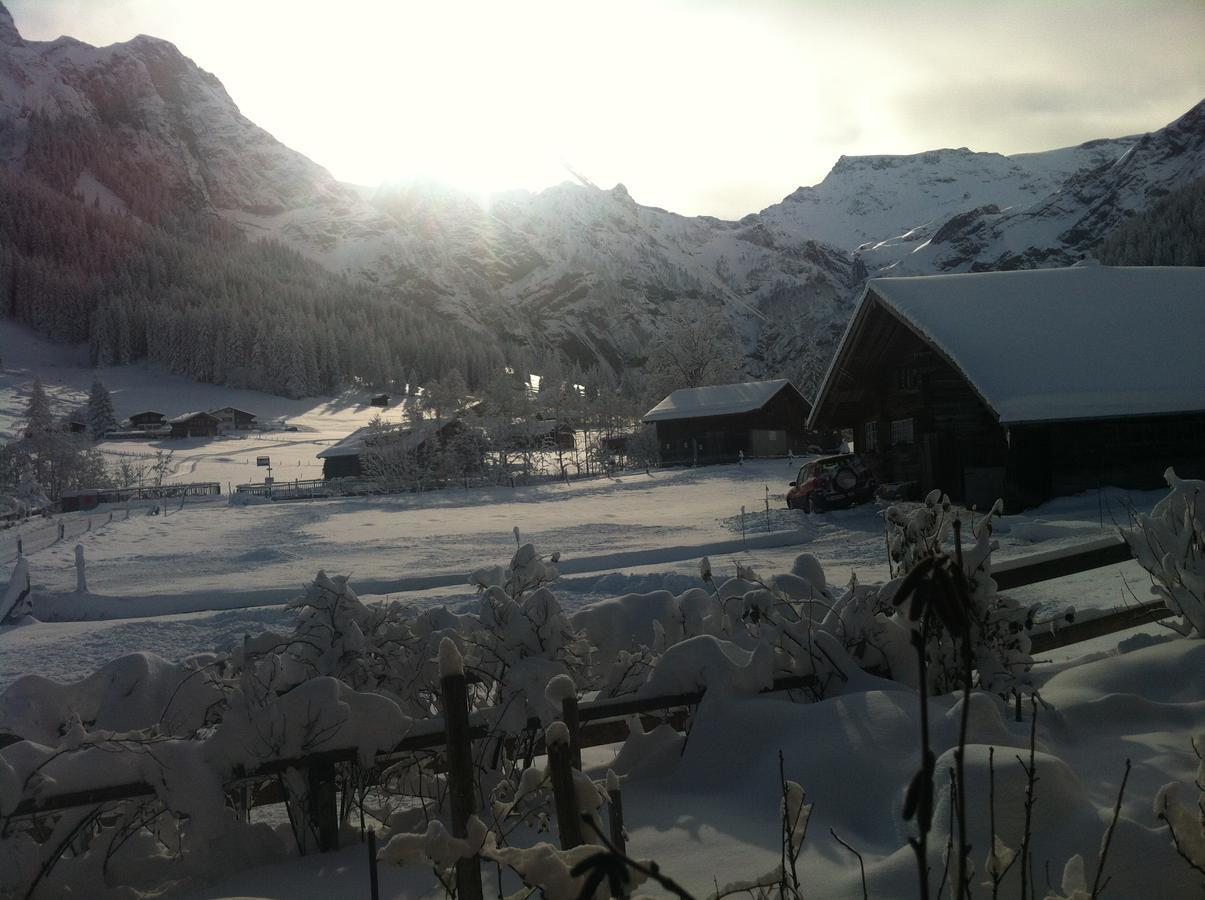 Bergdohle Apartment Adelboden Exterior photo